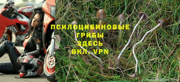 мдпв Зеленокумск