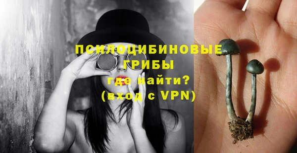 ешки Зеленодольск